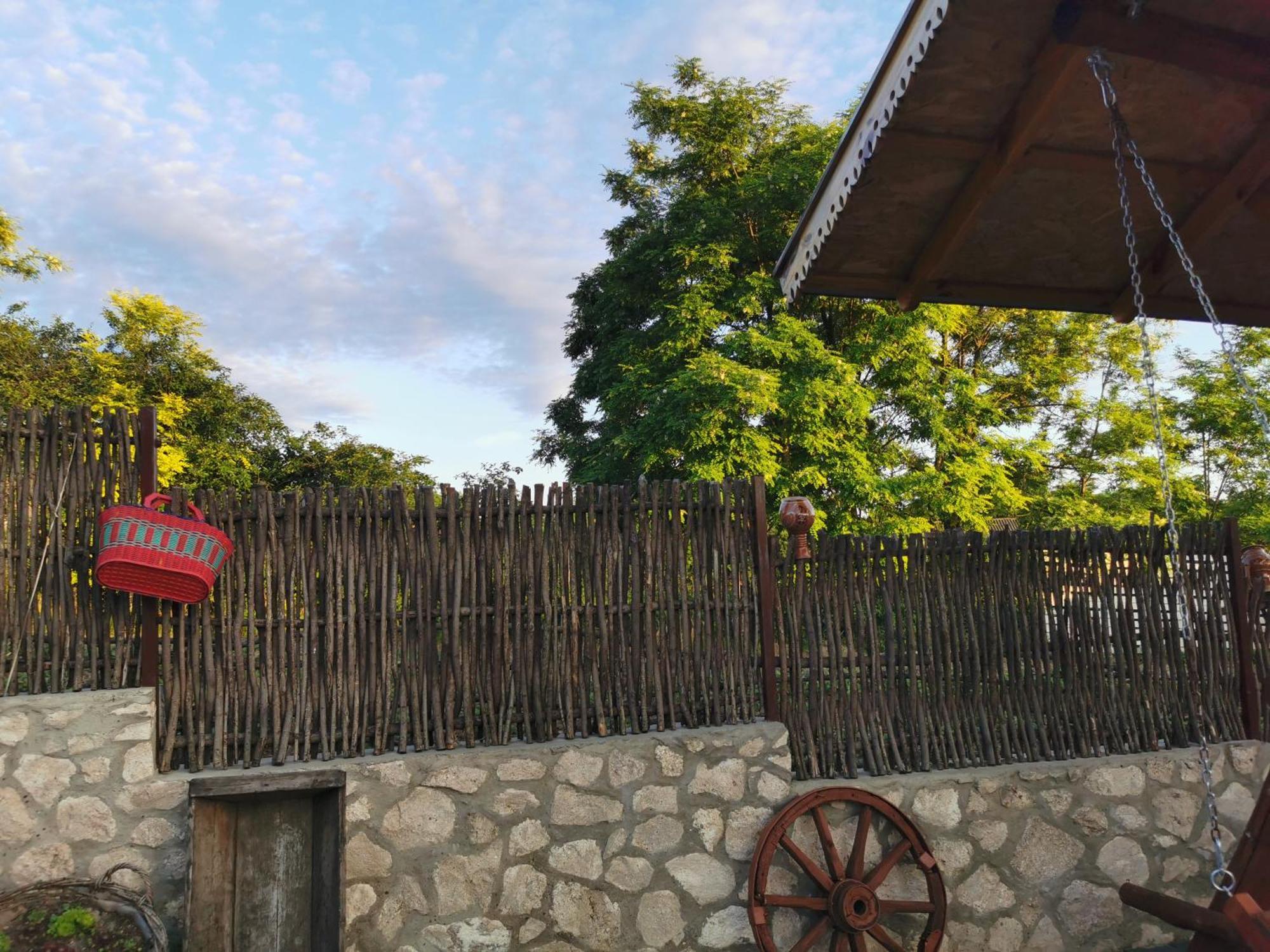 La Madalina Bed & Breakfast Selemet Exterior photo