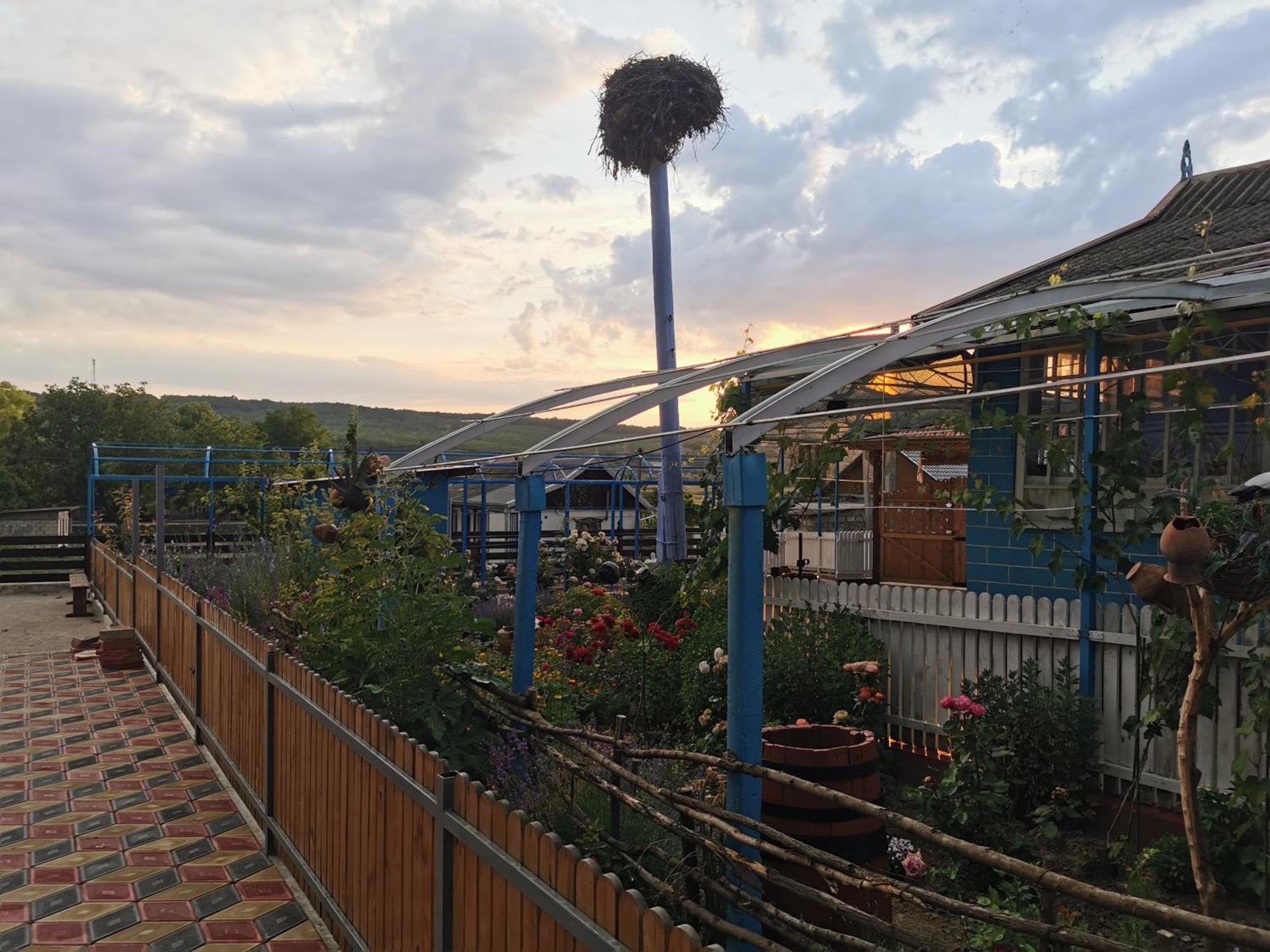 La Madalina Bed & Breakfast Selemet Exterior photo