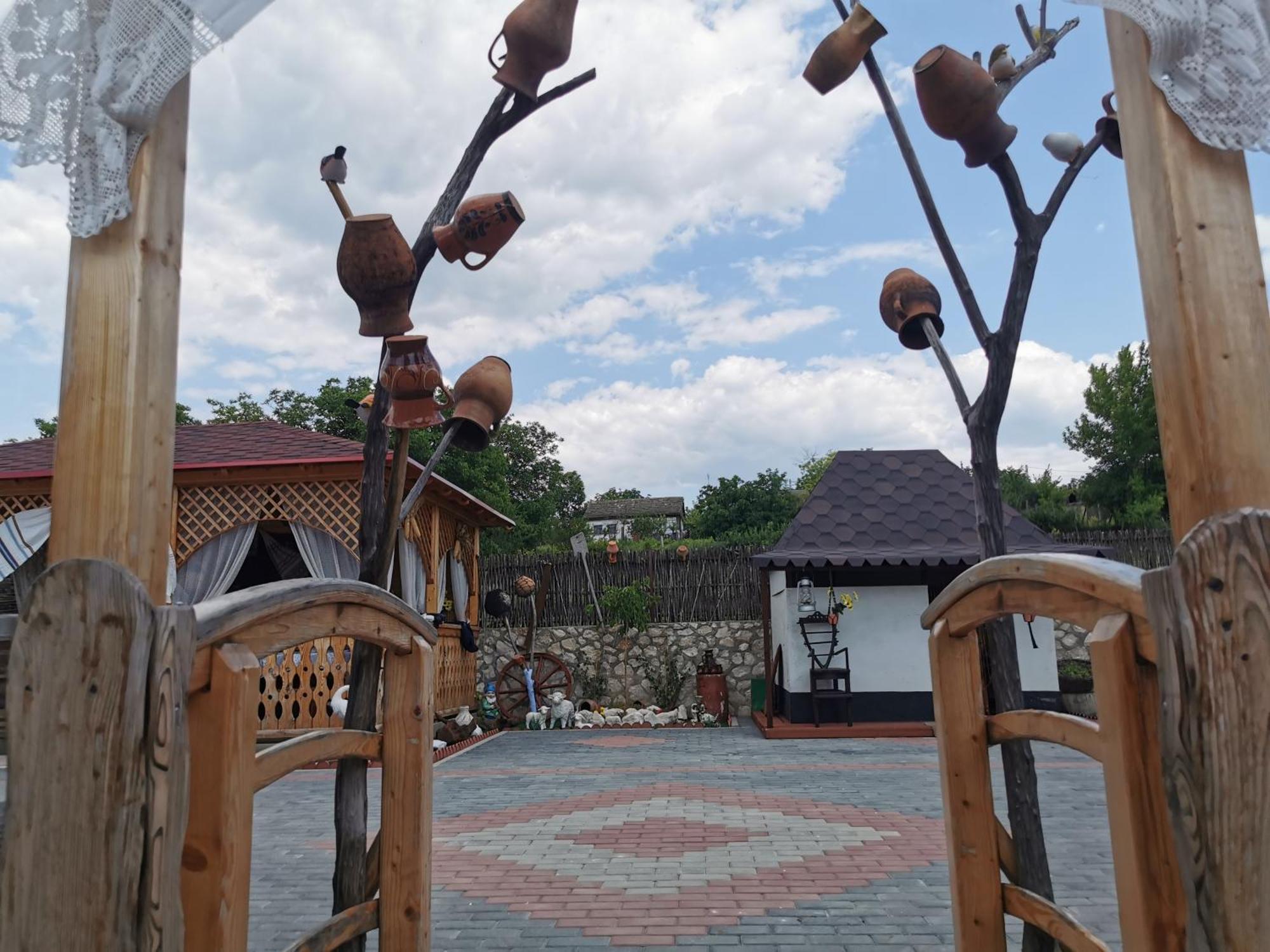 La Madalina Bed & Breakfast Selemet Exterior photo